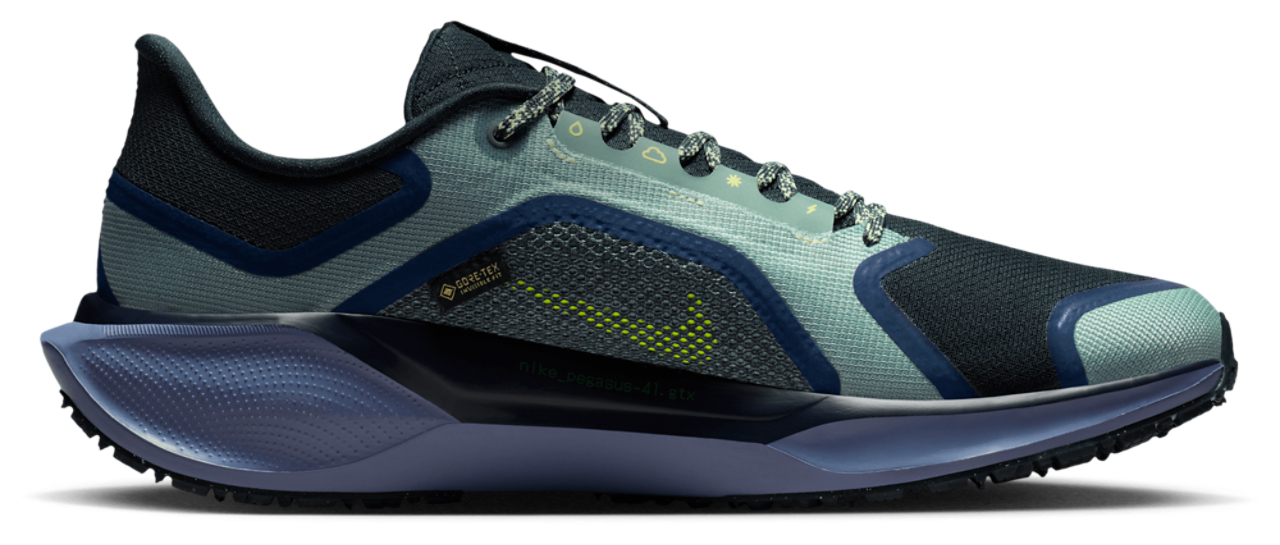 Nike Pegasus 41 Gore-tex