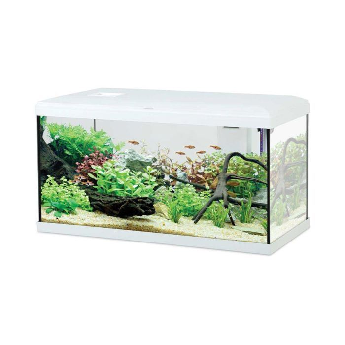 Initio vissen aquarium 60cm wit - Zolux Wit