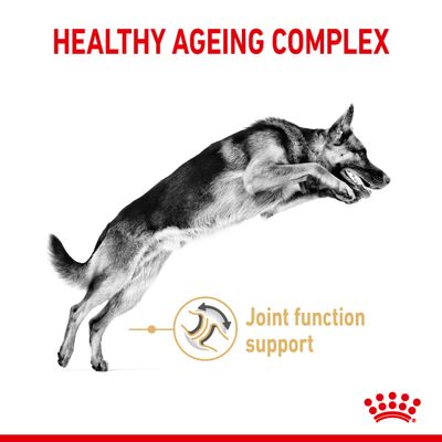 Royal Canin Schæferhund Adult 5+