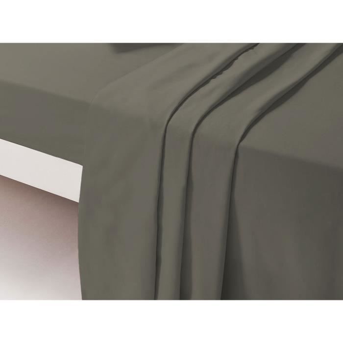 Flat Sheet - DP135 - Taupe - 240x300 cm - 100% Cotton - Machine washable at 60°