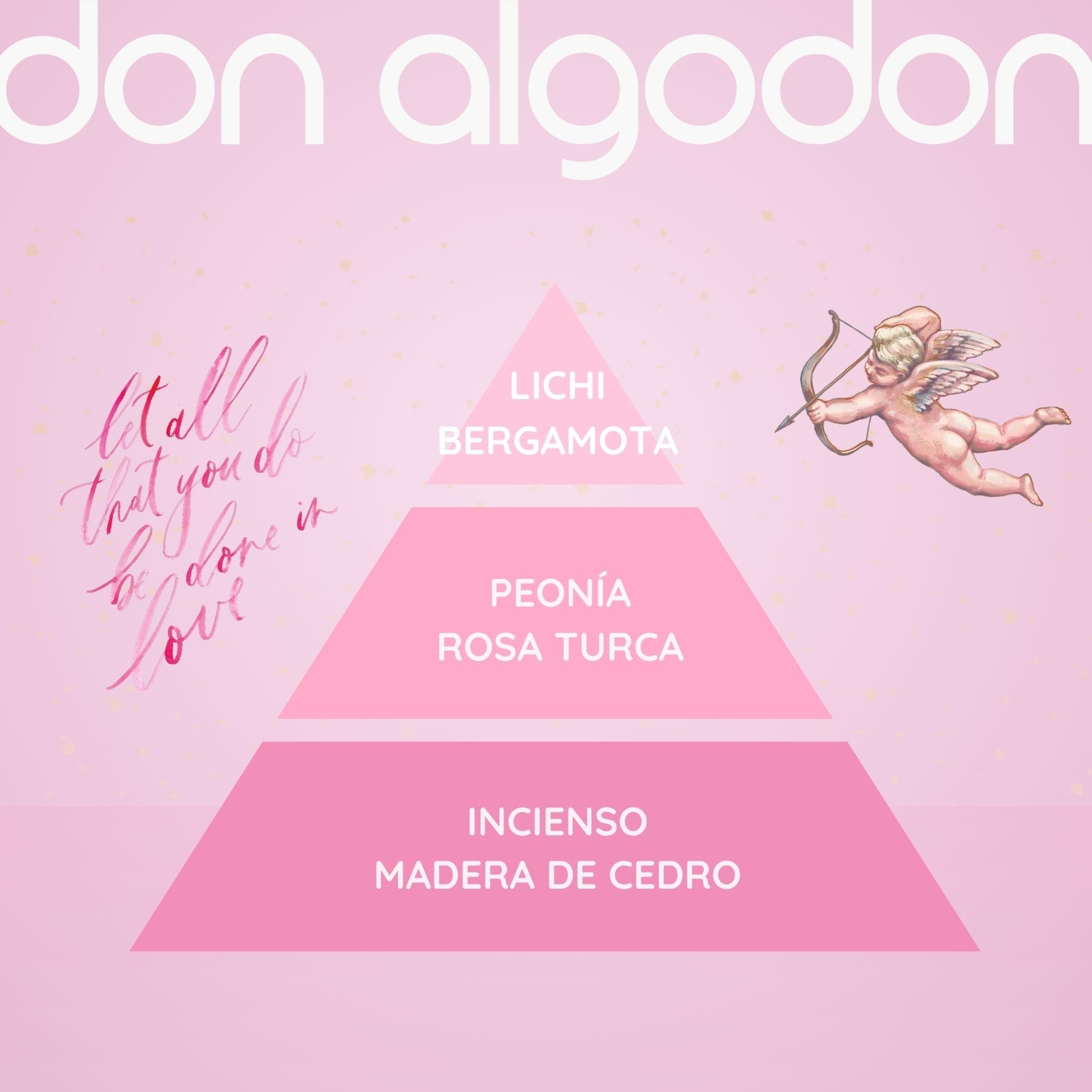 Toaletna voda La Vie en Rose Ženski parfemi