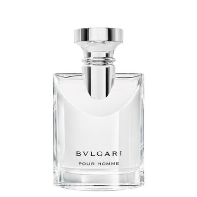 Bvlgari Bvlgari Pour Homme Eau de Toilette 100 ml 100 ml