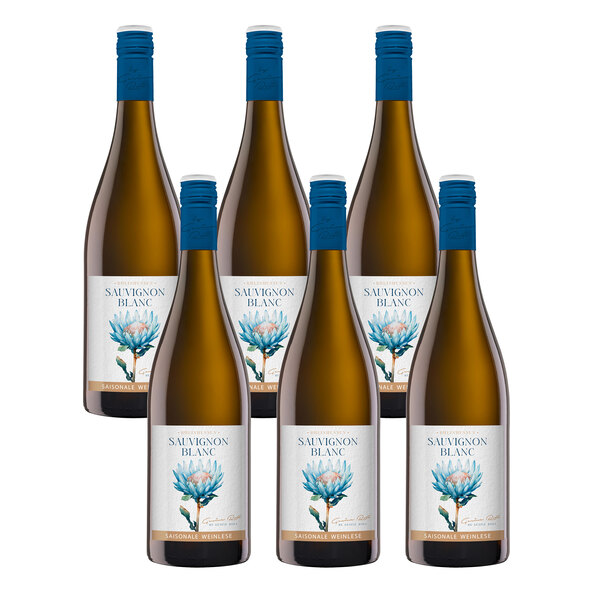 Sauvignon Blanc, 6 flessen van 0,75 l