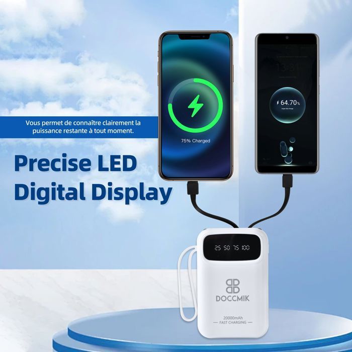 DOCCMIK Batterie Externe 20000mAh Power Bank avec 4 Câbles Intégrés Batterie Portable et LED Lampe Blanc