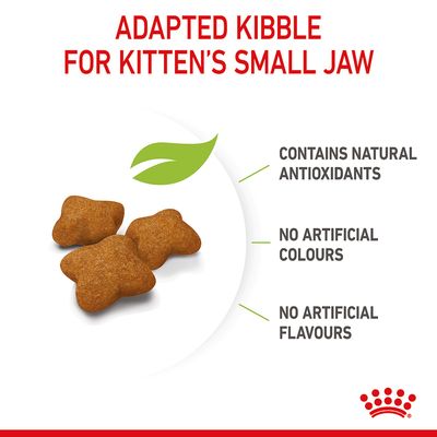 Royal Canin Gattino Sterilizzato