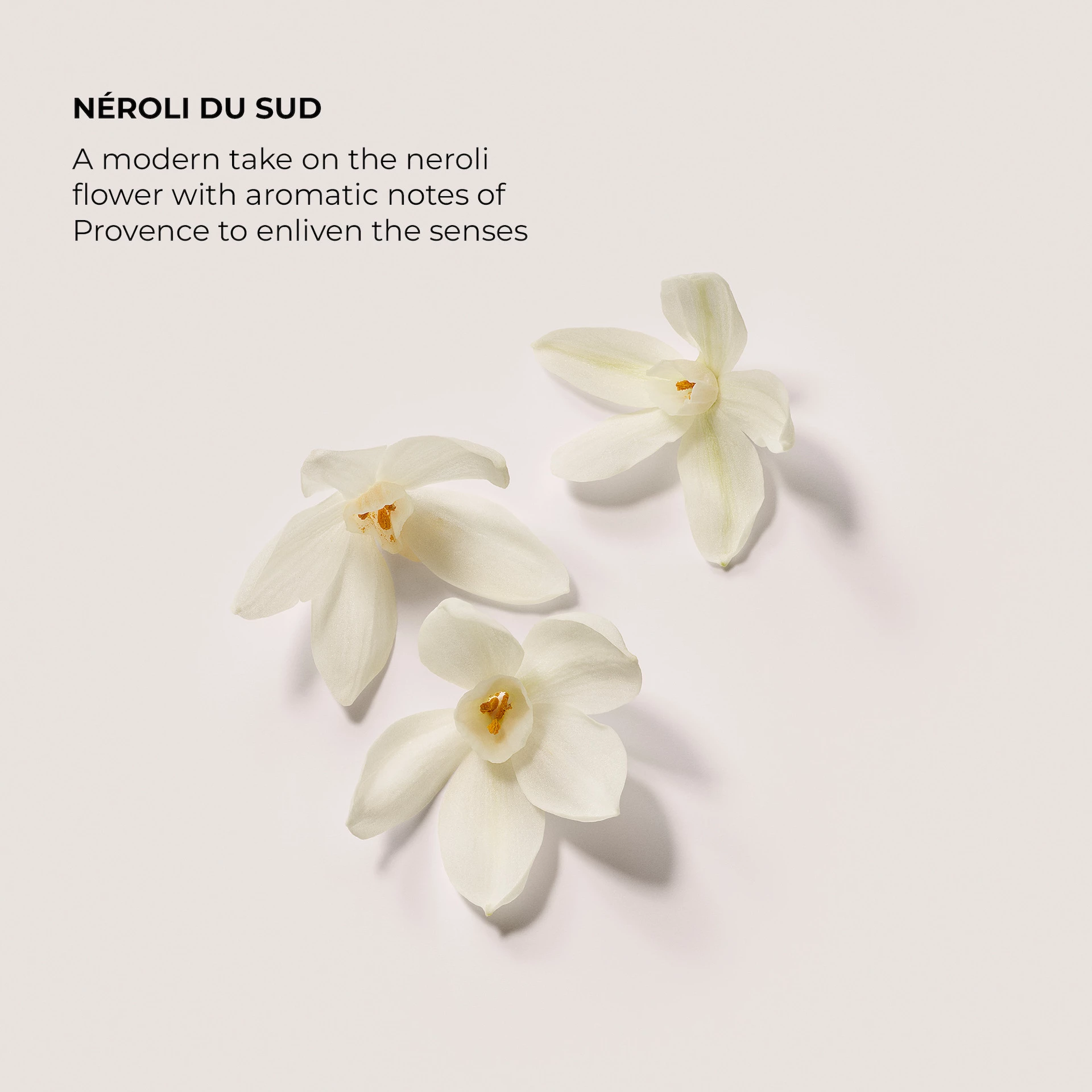 Néroli Du Sud EdP 50 ml - Laura Mercier
