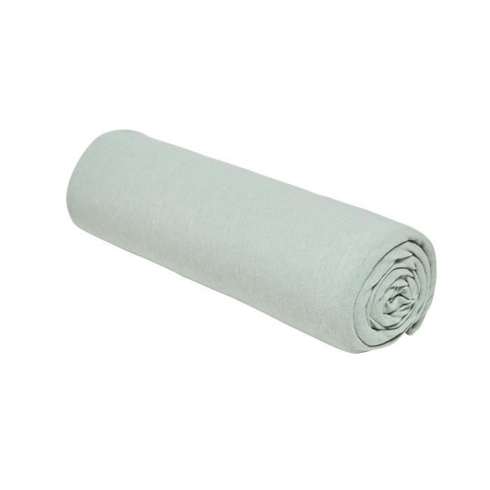 Lenzuolo con angoli TODAY Essential - 140 x 190+25 cm - Singolo - Jersey di cotone 100% - Celadon