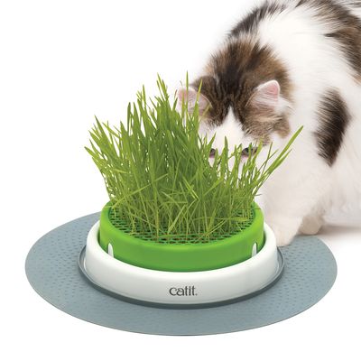 Jardinieră Catit Senses 2.0 pentru iarbă