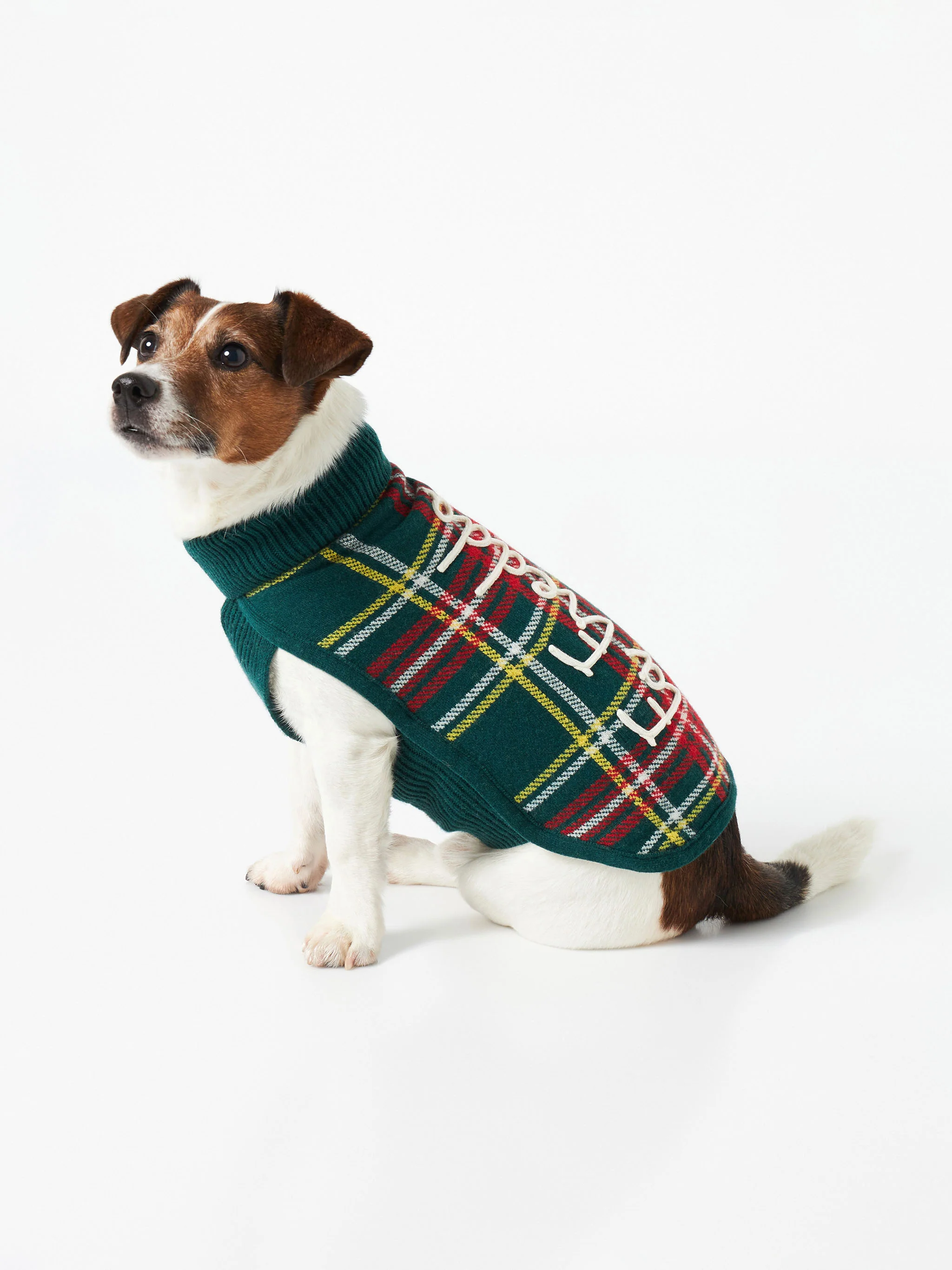 Trui voor honden met Schotse ruitprint