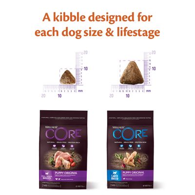 Wellness Core Original Trockenfutter für große Welpen