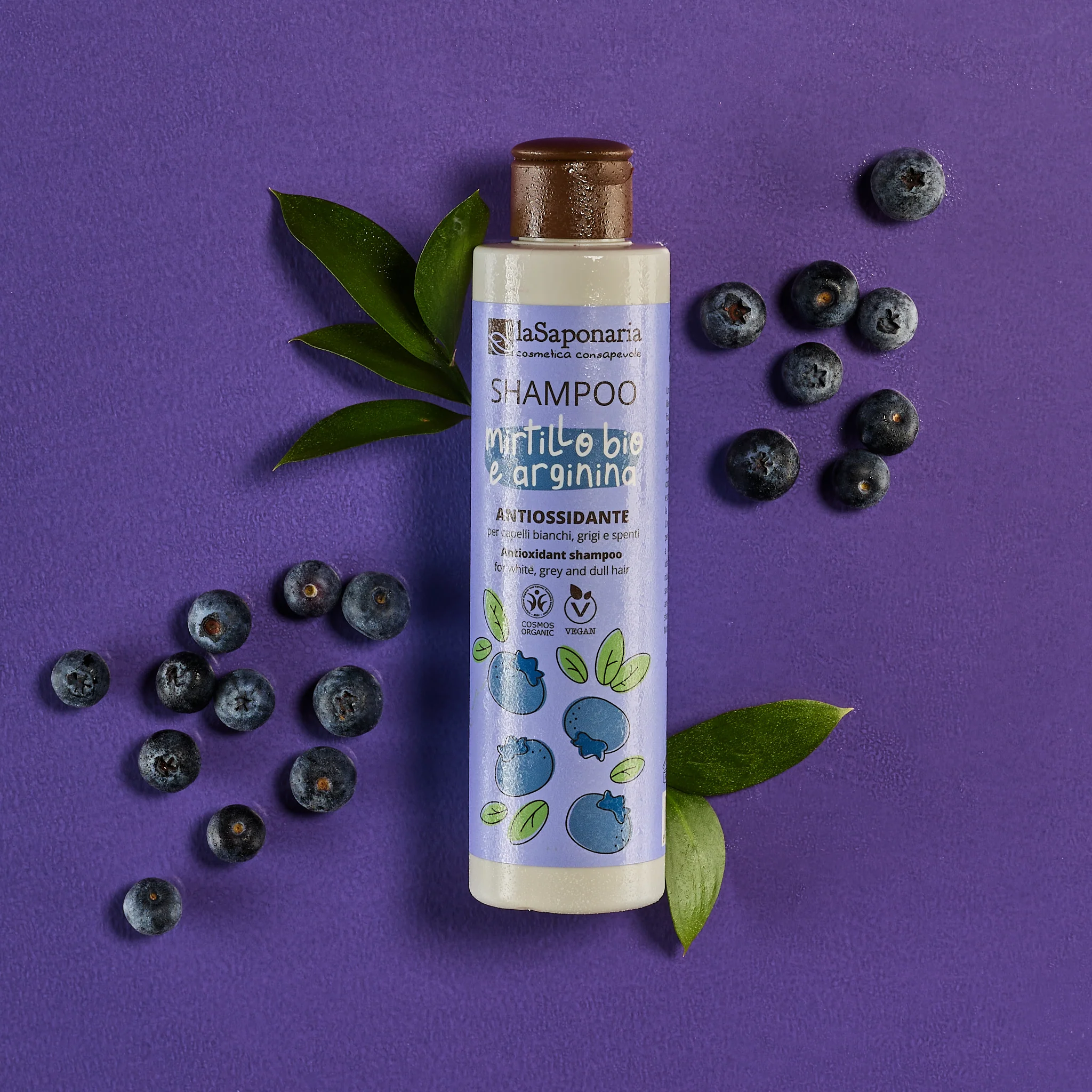 Capelli e Cute Shampoo biologico Mirtillo bio e Arginina - Shampoo Illuminante, Shampoo Protezione Colore