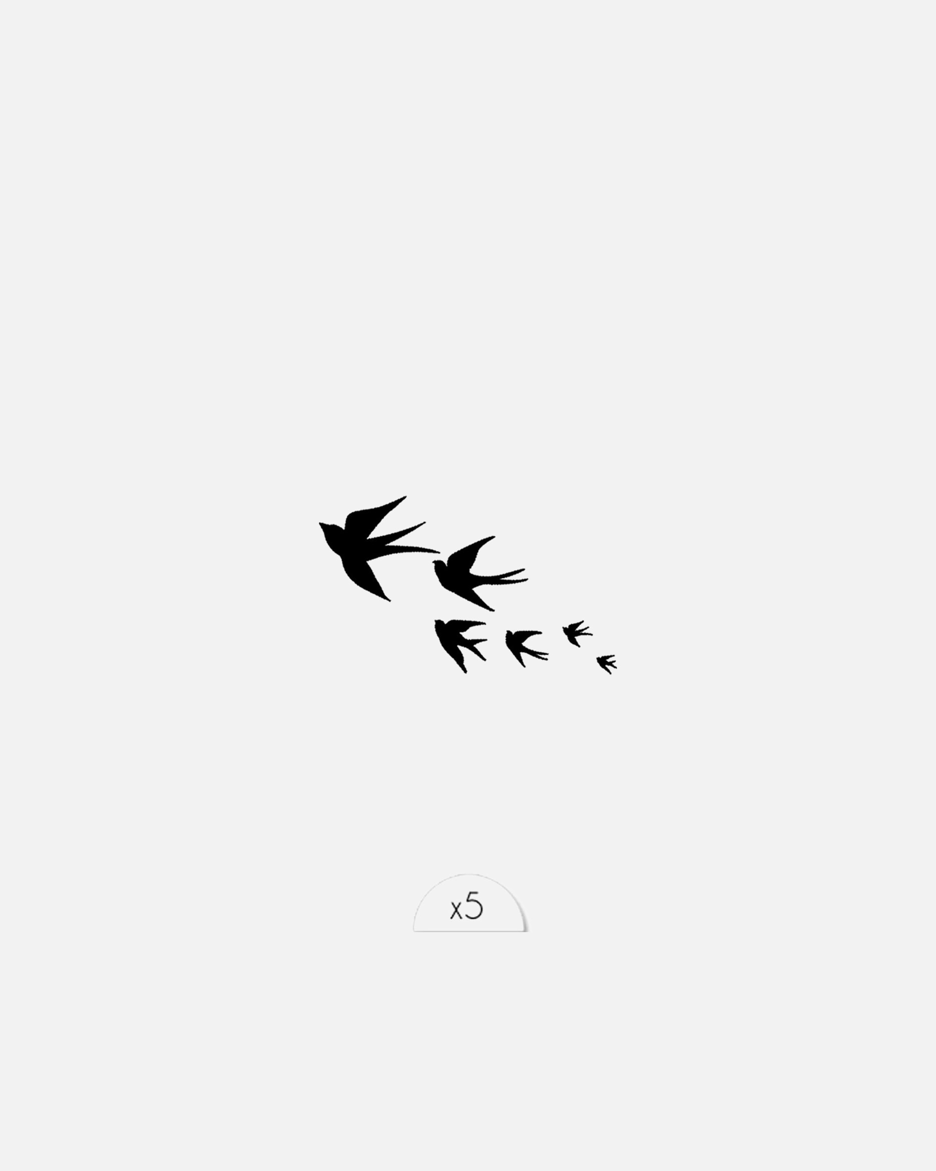 Sioou Envolée d'oiseaux