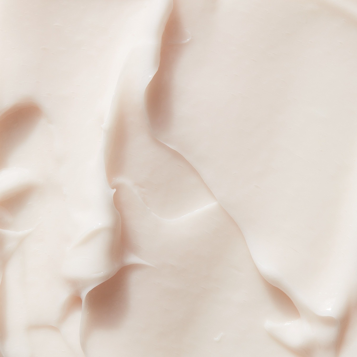 Evolve Organic Beauty Hydrate & Protect Face Cream