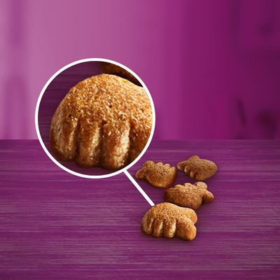 Whiskas Dentabites