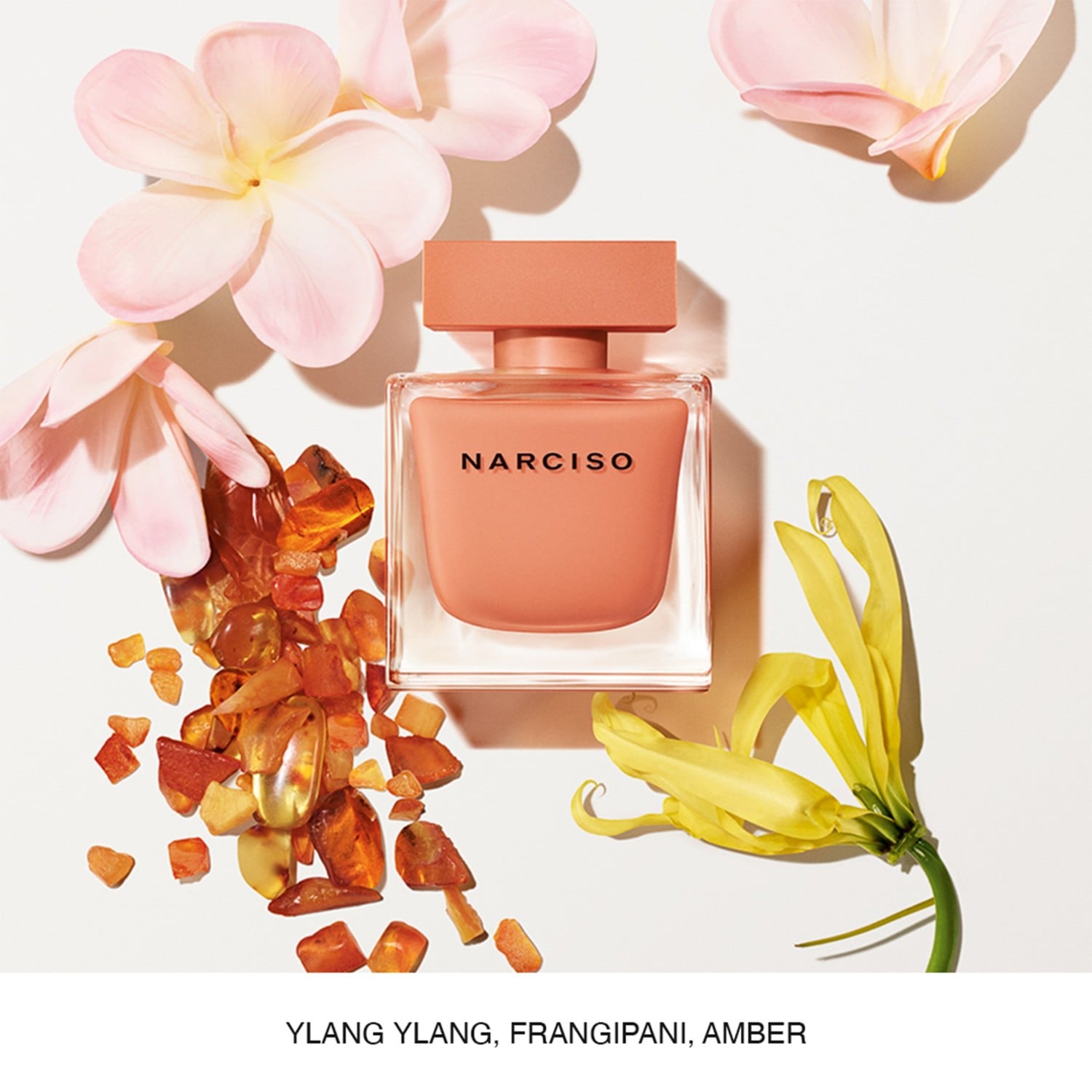 Eau de Parfum Narciso Rodriguez Eau de Parfum Narciso Ambrée - 30 ml