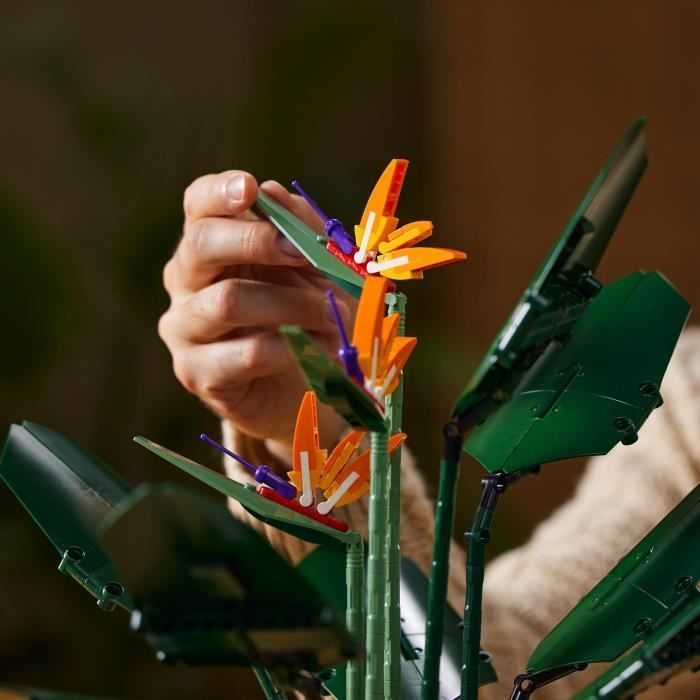 LEGO® Icons 10289 L’Oiseau de Paradis, Fleurs Décoratives, Maquette Botanical Collection, Construction Plantes, pour Adultes