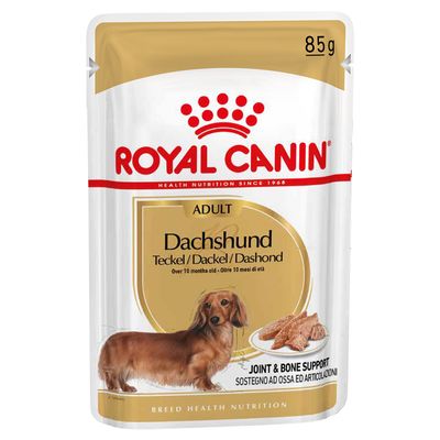 Pappa per bassotti Royal Canin