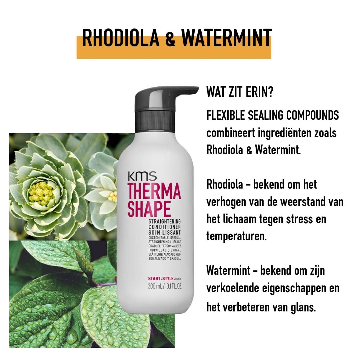 Balzam za glajenje las KMS Conditioner - 300 ml