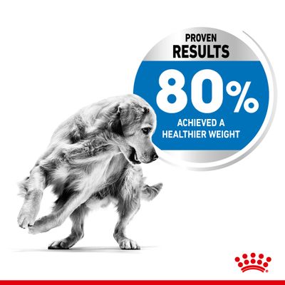 Royal Canin Medium Light Weight Pflege