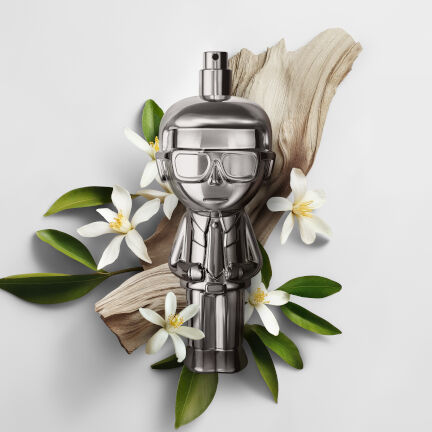 Karl Lagerfeld Ikonik Absolu