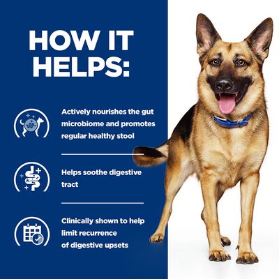 Hill's Prescription Diet Canine Gastrointestinal Biome Stew - Frango