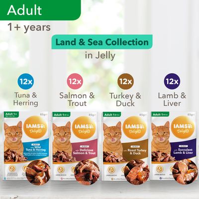 96 x 85 g IAMS Delights -märkäruokaa kissanmunalle, megapakkaus!*