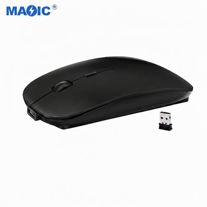 Souris Rechargeable Sans Fil Noir  Silencieuse, LED RGB, 2.4GHz, DPI Réglable, Ergonomique, pour PC/Mac/Ordinateur