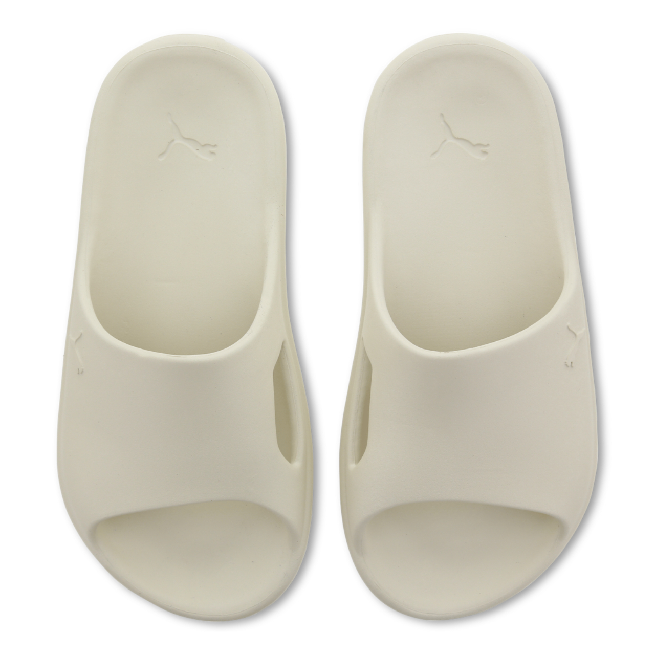 Puma Shibui Cat