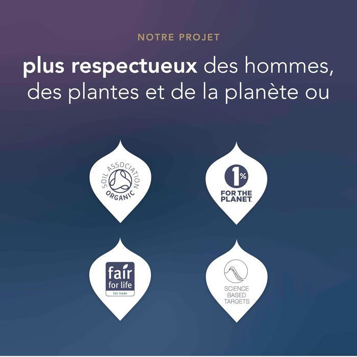 Pukka Calendrier de l'Avent