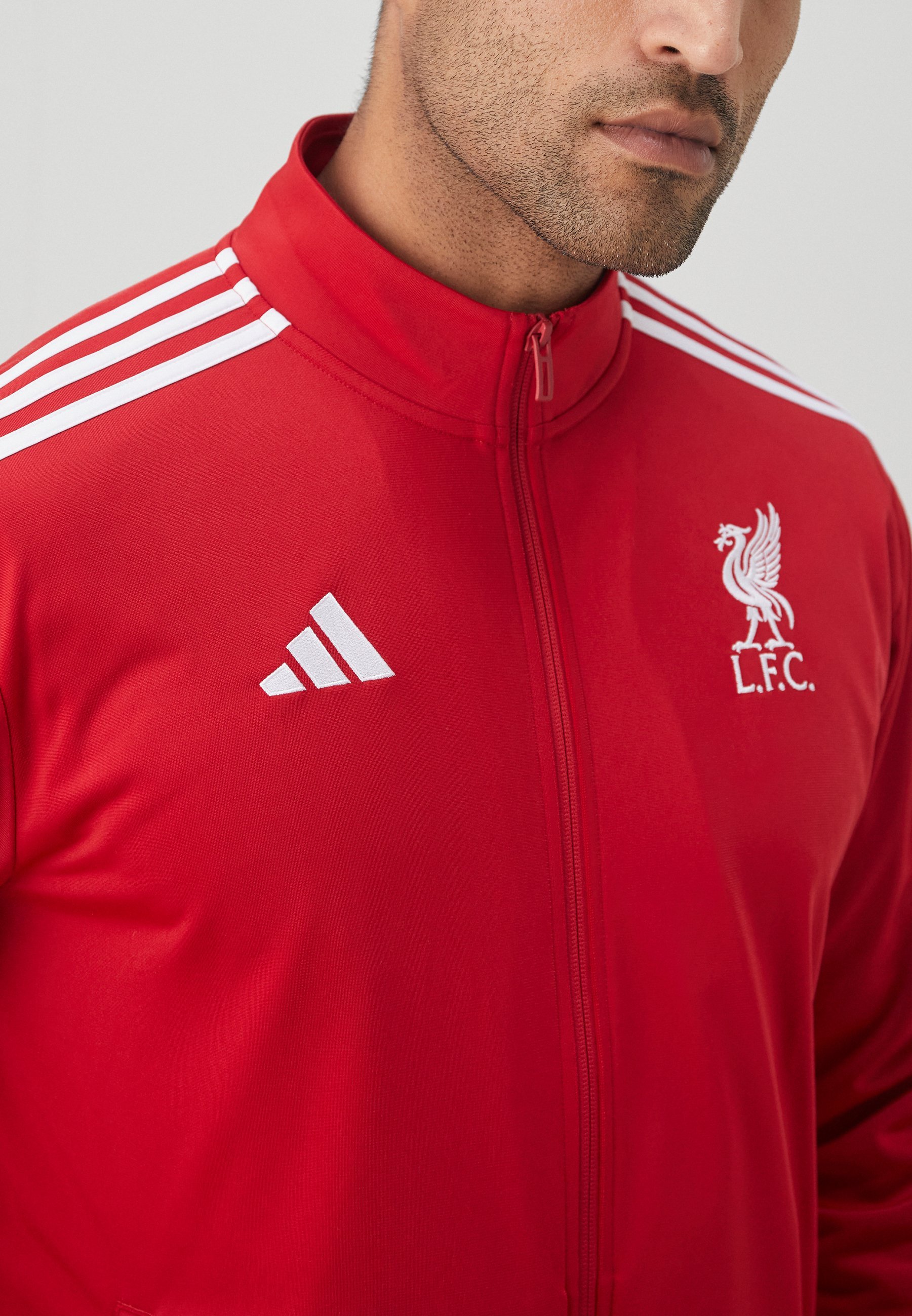adidas Performance LIVERPOOL FC DNA VERRYTELYTOPPI - Pelipaita - green