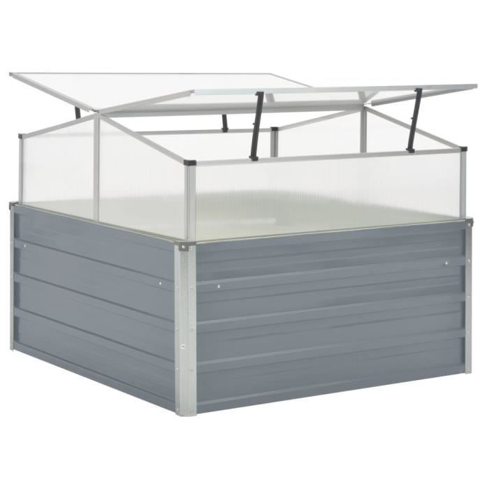 Garden Greenhouse - Galvanized Steel - 100 x 100 x 85 cm - Polycarbonate - Grey