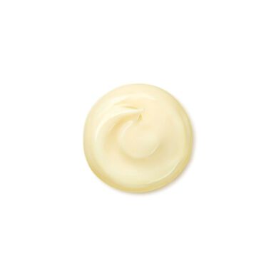 Shiseido Benefiance Crème Lissante Rides, Crème Visage Raffermissante Intensive Enrichie pour Peaux Sèches 75 ml