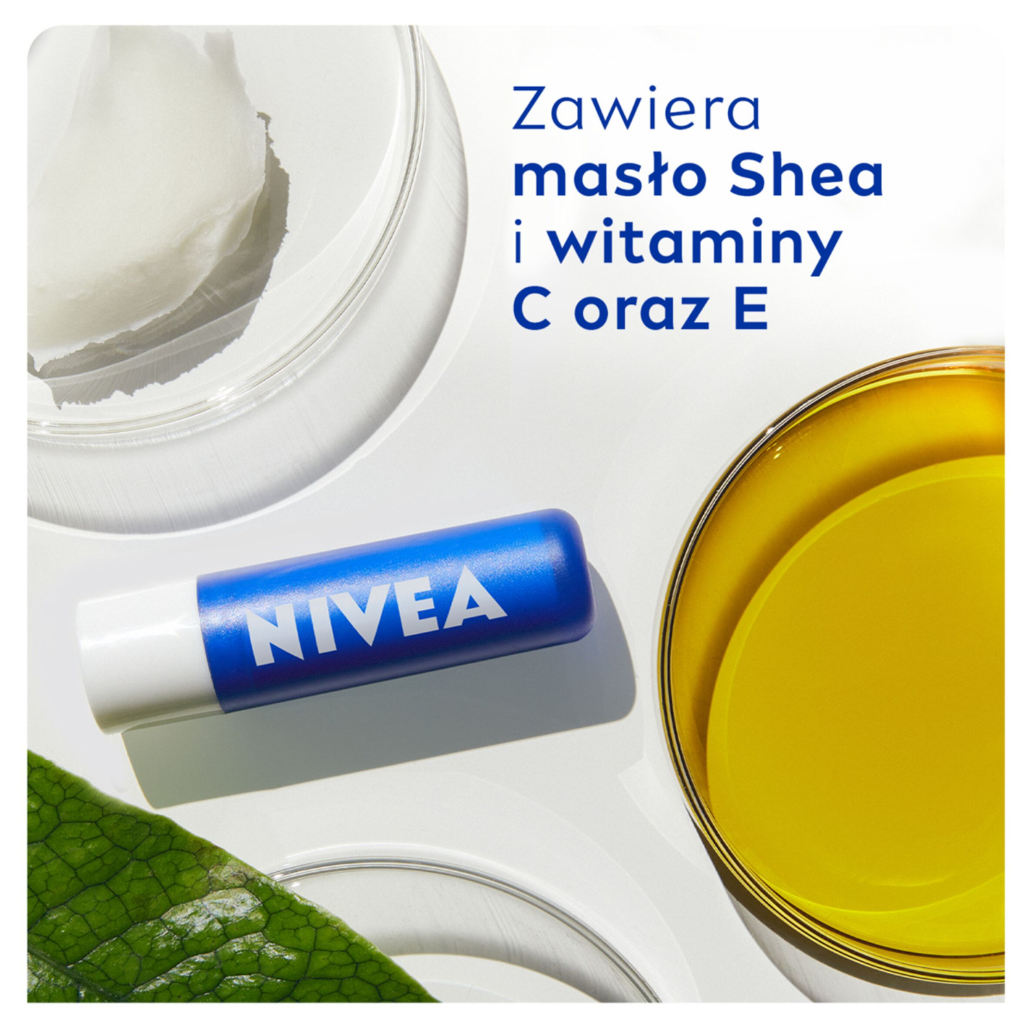 Νιβέα