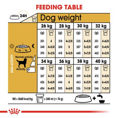 Royal Canin Labrador Retriever Erwachsener