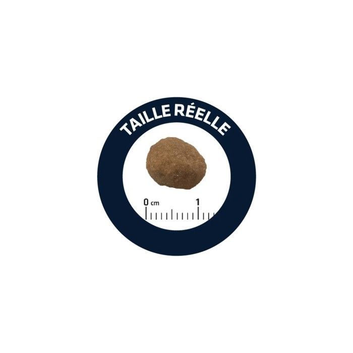 Croquettes pour chat - Affinity Petcare - Advance Activ Defense - Poulet et Riz - 10kg - Adulte