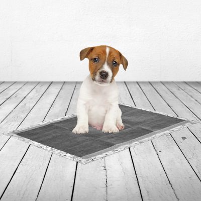 Tapetes de treino para cachorros Savic com carvão ativado