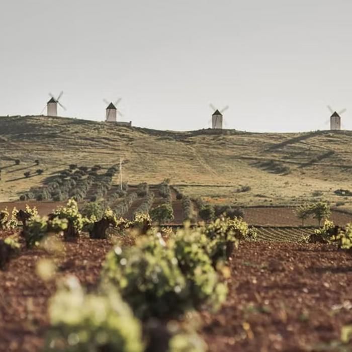 Encierro Bio 2025 - Vino rosso spagnolo - Bottiglia da 75cl - Les Passeurs de Vins