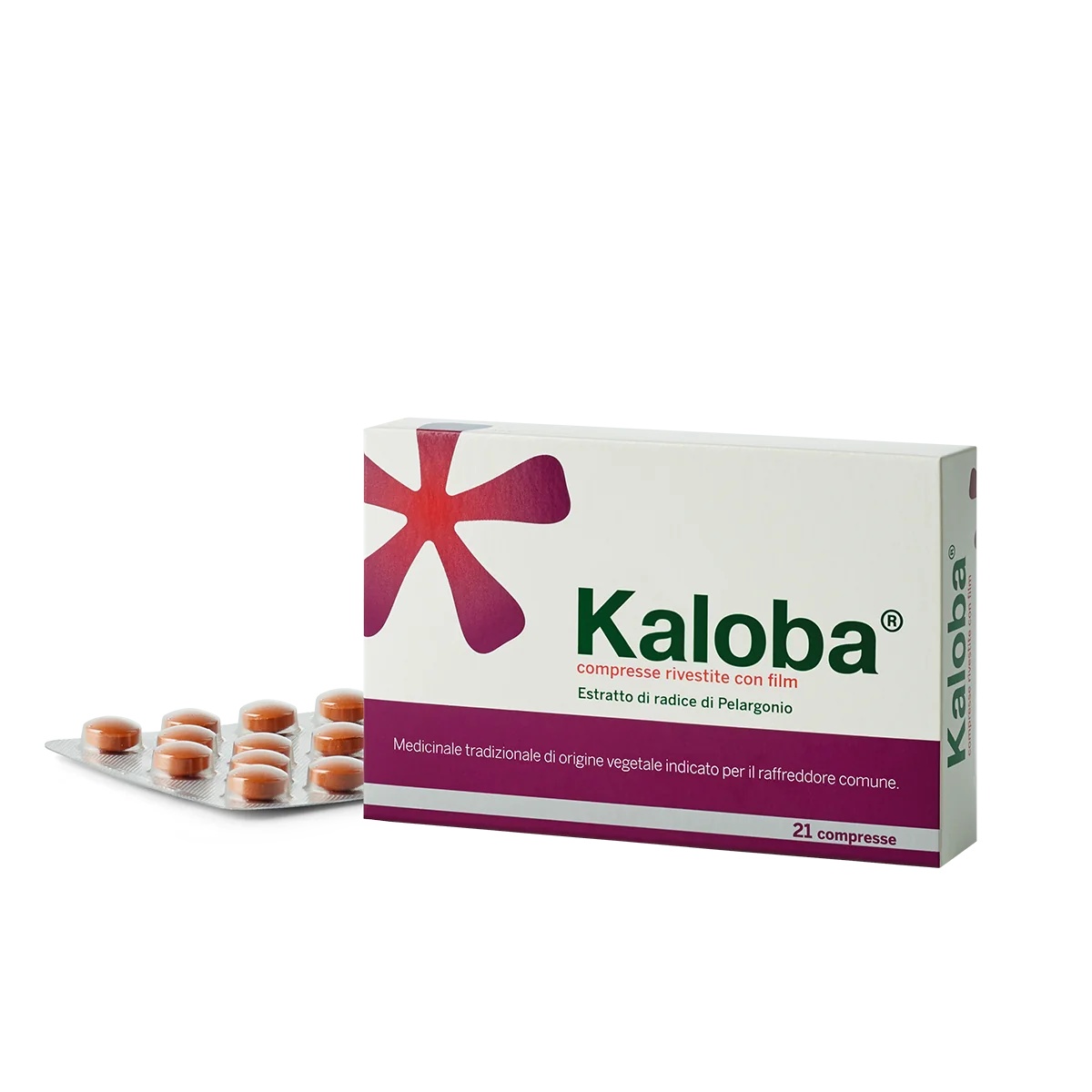 KALOBA Kaloba 20 mg 21 comprimés Contre le rhume
