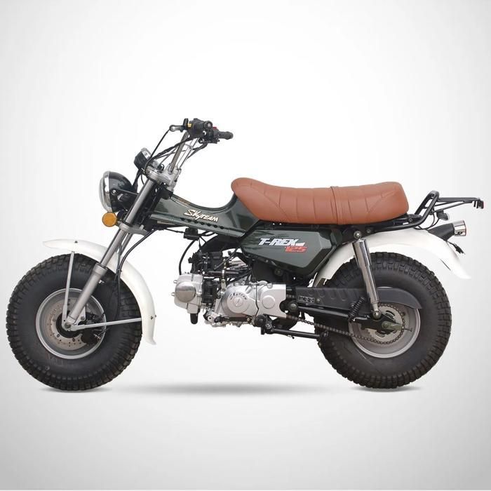 Mini Moto T-REX 125 SKYTEAM / Vert