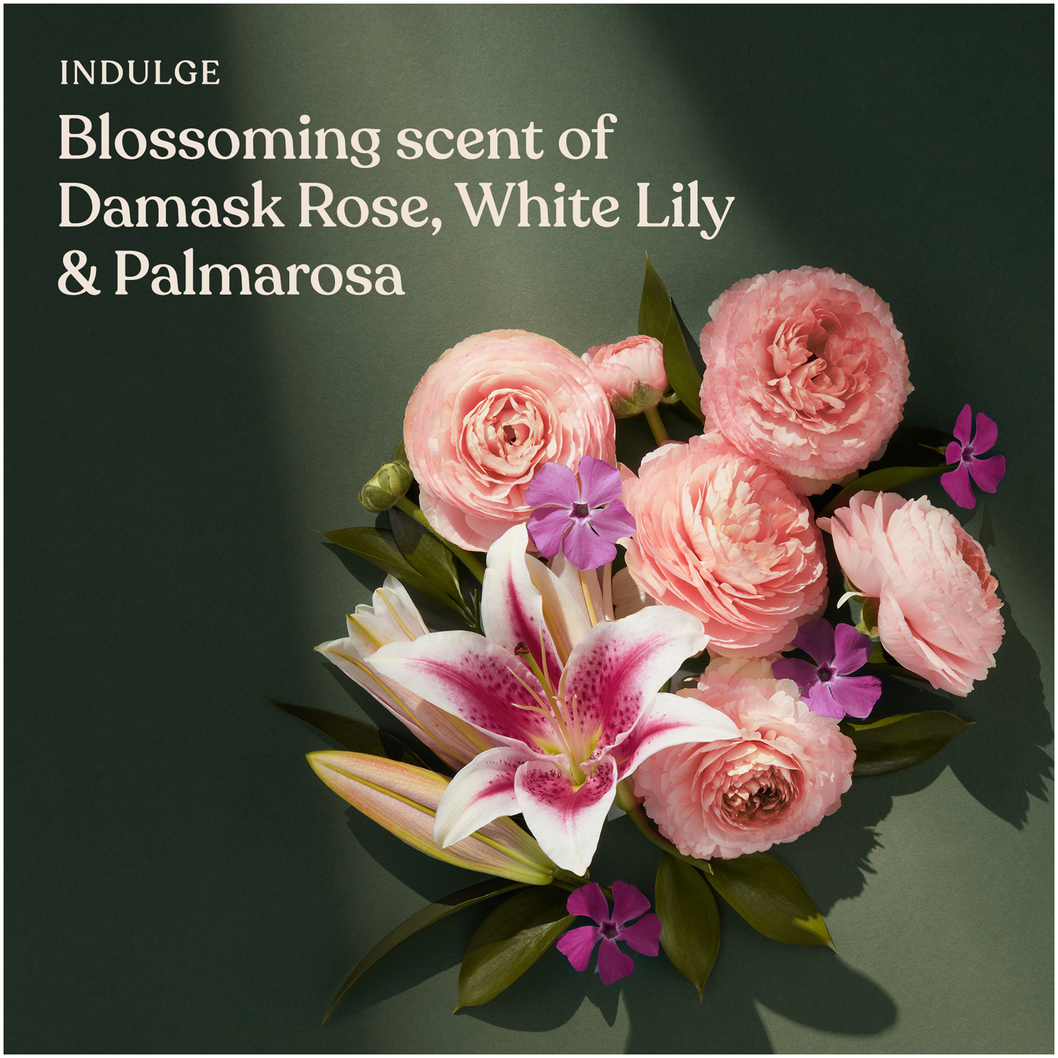 Collection Lys et Rose du Sanctuary Spa