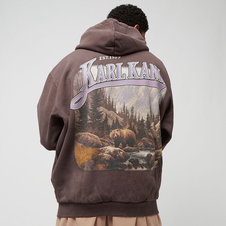 Bluza z kapturem Small Signature OS Washed Heavy Sweat Landscape