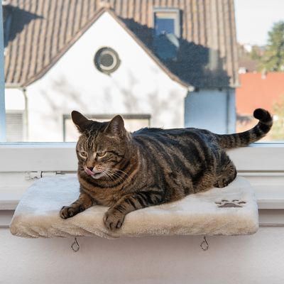 Pluschi Fensterbanksitz