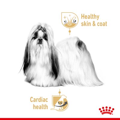 Pain de mie Royal Canin Shih Tzu pour adultes