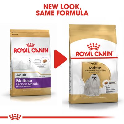 Royal Canin Maltese Adult