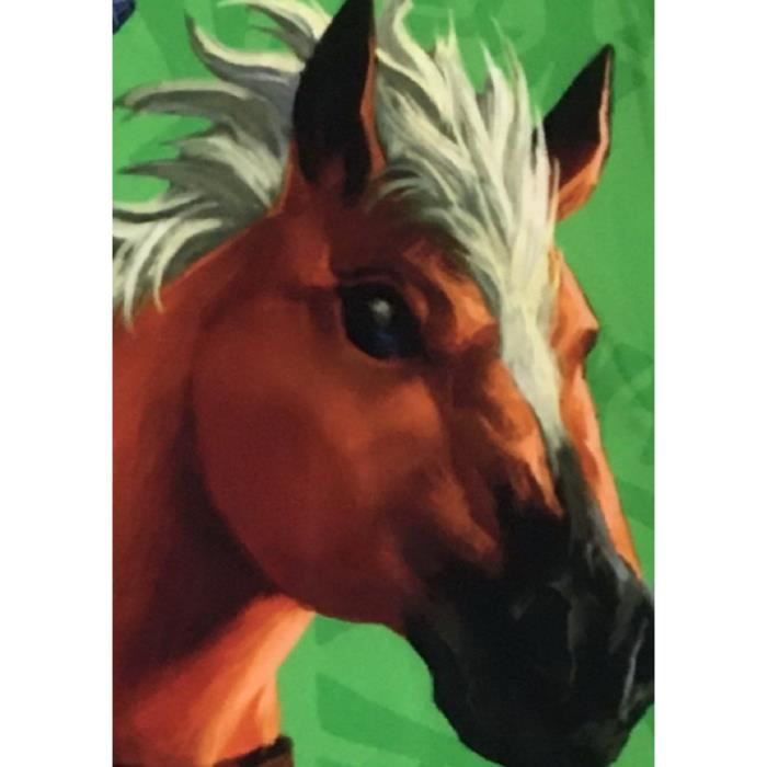 Coperta Sherpa - ZELDA - Link ed Epona - 100 x 150 cm