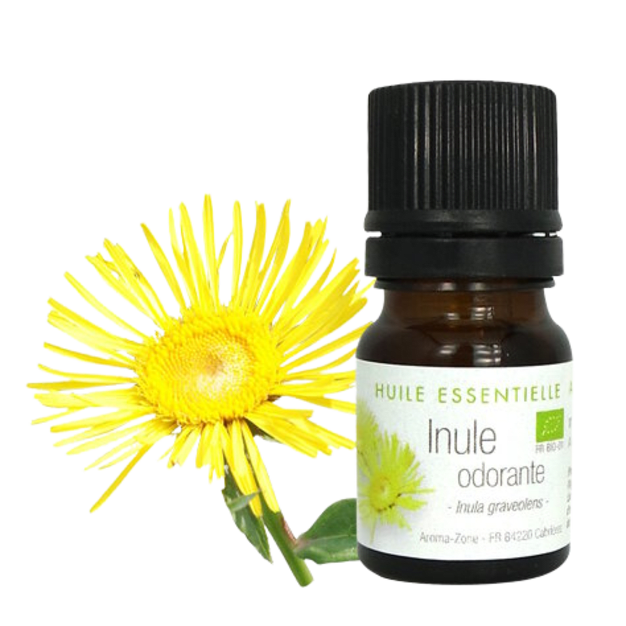 Huile essentielle Inule odorante BIO 2ml