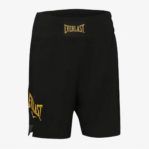Everlast Performance