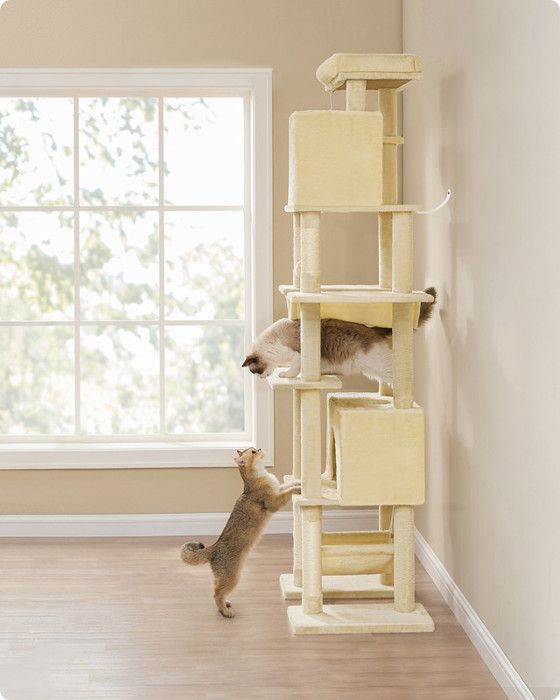 201cm Cat Tree, XXL Size, Multi-Level, 1 Platform, 1 Basket, 2 Caves, 2 Hammocks, Anti-Tip Device, Beige