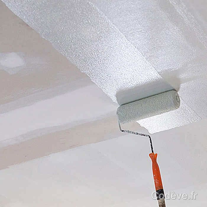 Peinture Plafond - 20 L   - Codeve Bois - RAL 9010 - Blanc pur