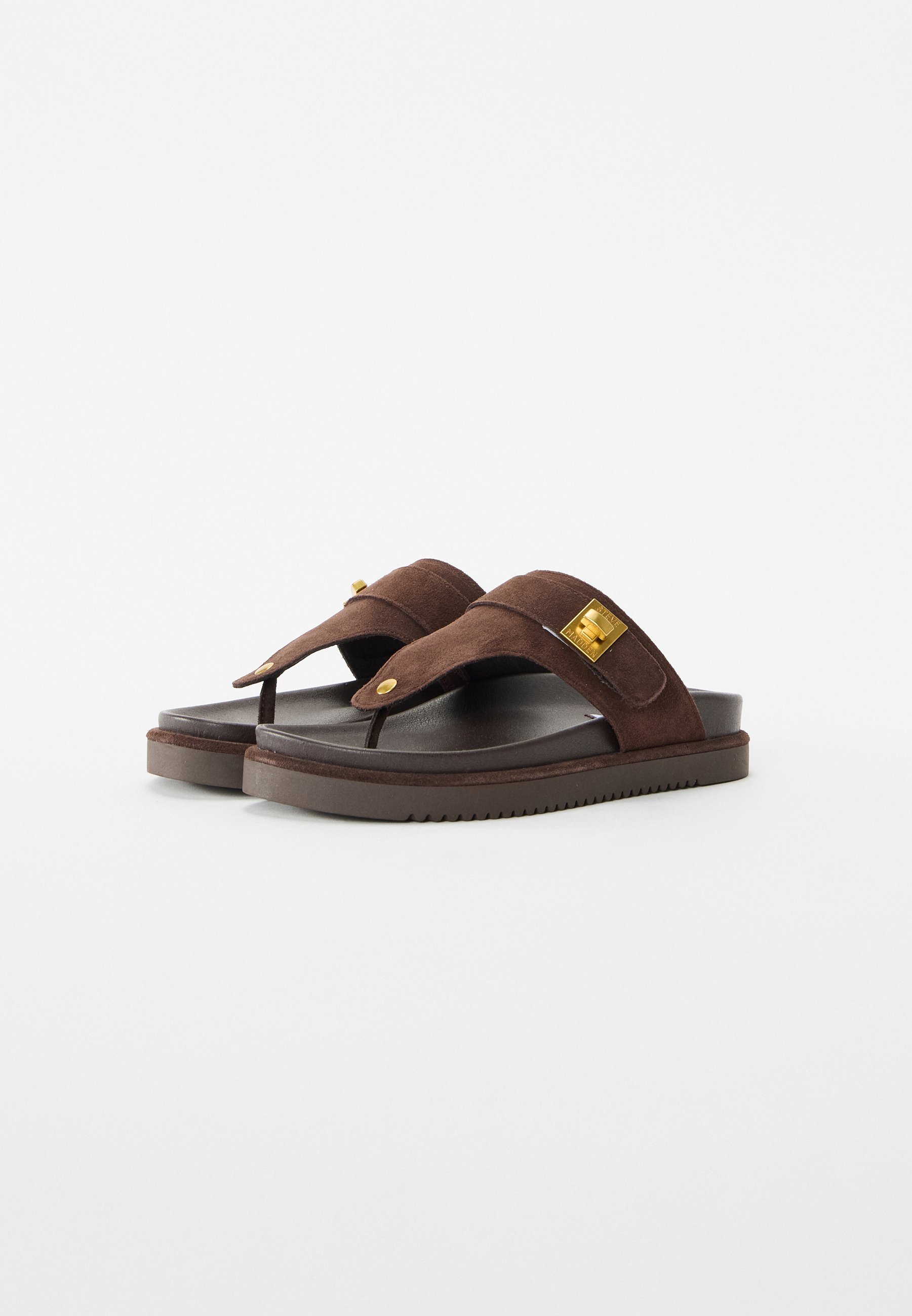 Steve Madden TUNED IN - Slippers - chocoladebruin